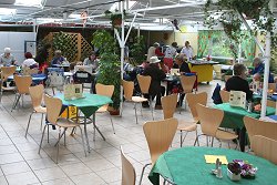 Butterfly Cafe