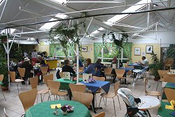 Butterfly Cafe
