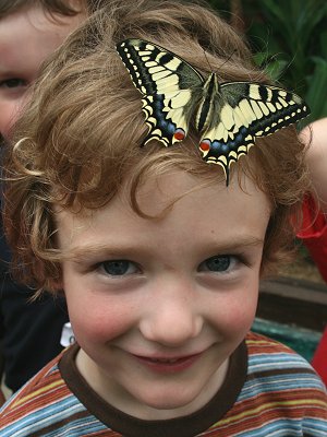 Butterfly World, Swindon